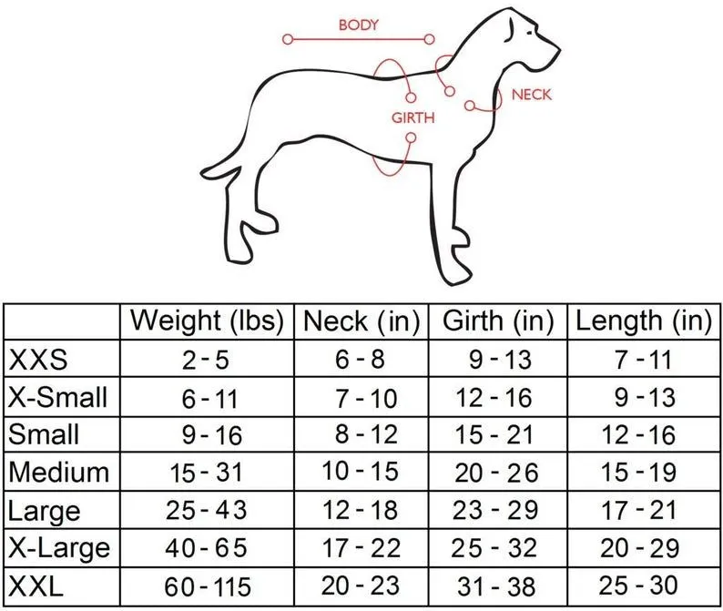 Water and Ice Dog Poncho