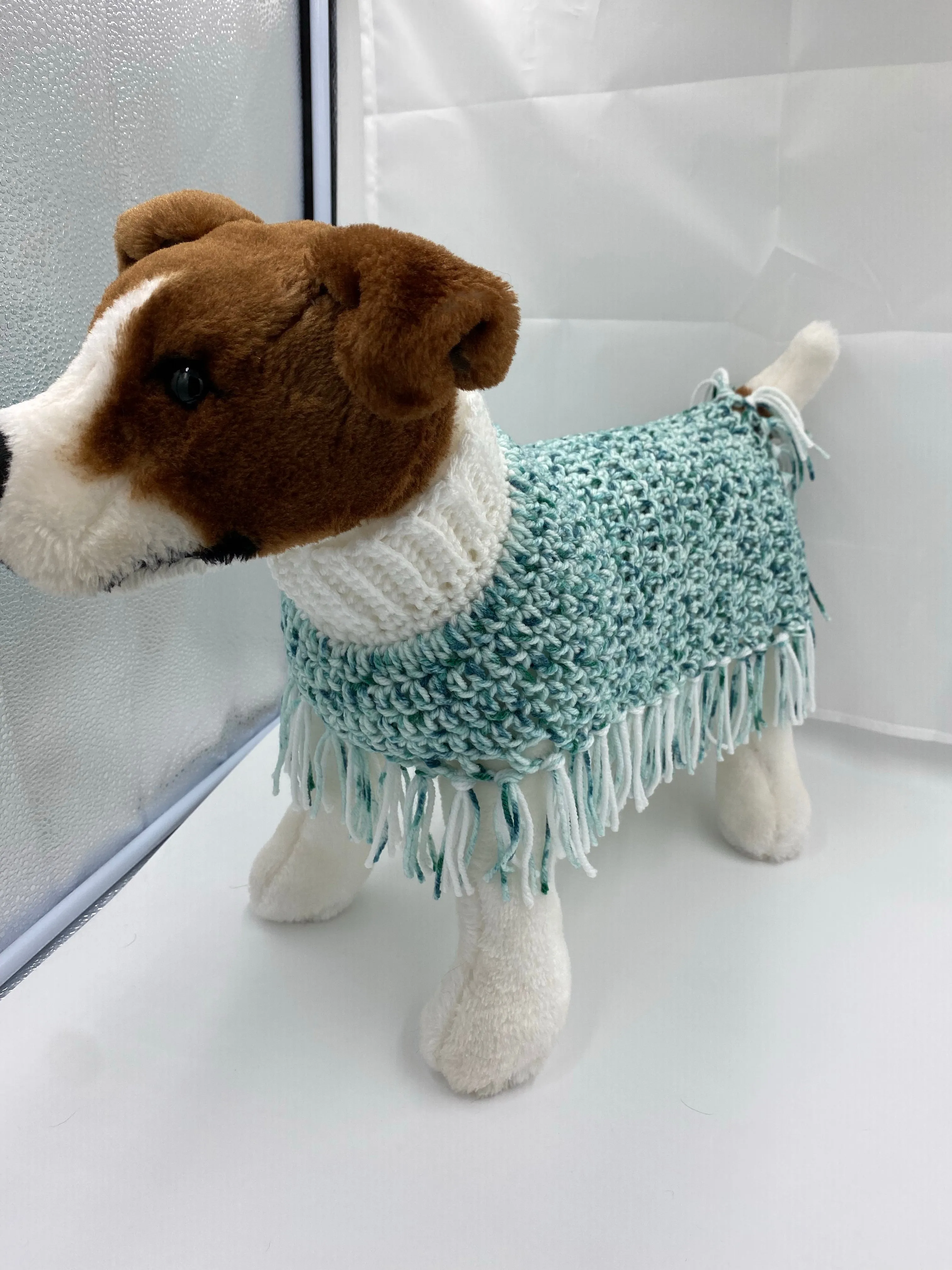 Water and Ice Dog Poncho